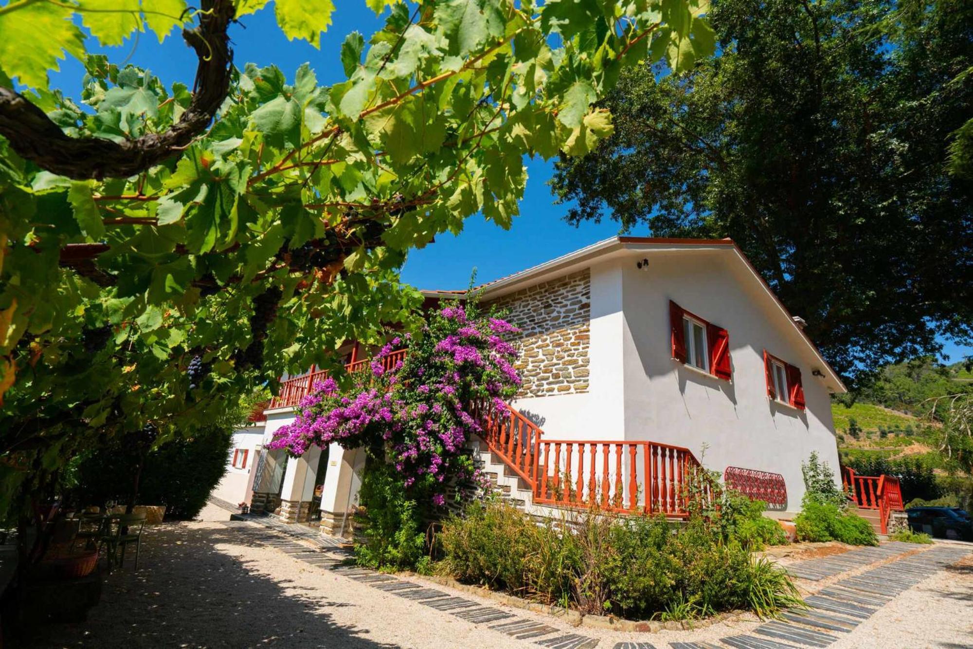 Quinta Da Pousada Casa De Campo 산타마르타드페네구아 외부 사진